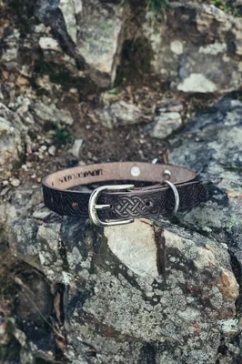Produktbild von Halsband oder Hundehalsband aus Leder mit Prägung