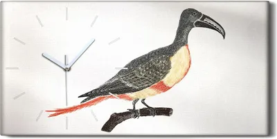 Produktbild von Leinwand Uhr Küche Wohnzimmer Bild 60x30 Zeichnung Tier Vogel Zweig Kunst - weiße Hände