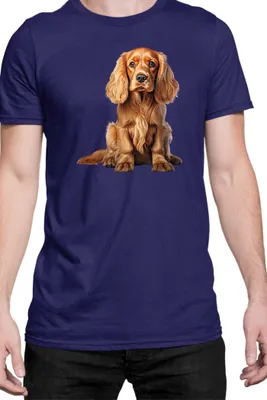 Zdjęcie produktu dla Męska Koszulka Dogs Breeds Cocker Spaniel Dog Breed 006, Man L / Ciemnoniebieski