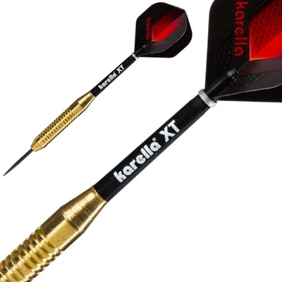 Immagine prodotto di Steeldart Karella XT-1 22g