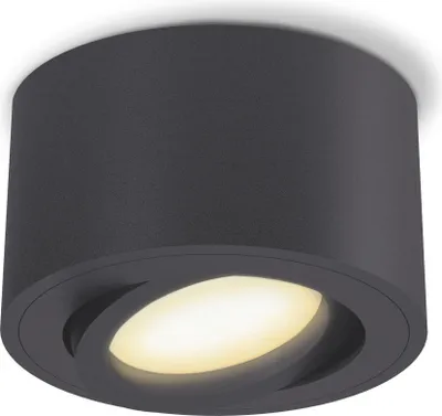 Zdjęcie produktu dla SSC-LUXon CELI-1N Reflektor sufitowy LED 230V natynkowy z funkcją ściemniania fourSTEP bez ściemniacza - Reflektor o wąskim kącie rozsyłu światła 4W ciepły biały 230V