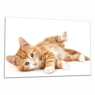 Produktbild von Wallario Herdabdeckplatte aus Glas, Größe 90 x 52 cm 1-teilig, Motiv Süße Katze mit großen Augen - rot weiß getigert