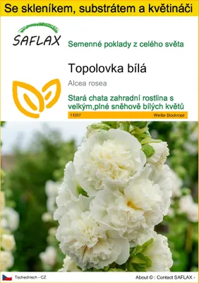 Obrázek produktu pro SAFLAX Kultivační sada - Topolovka bílá - Alcea rosea - 100 Semena - S mini skleníkem, pěstebním substrátem a 2 květináči
