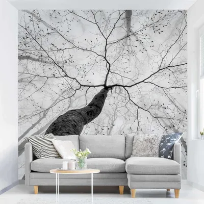 Produktbild von Fototapete Wald - Vliestapete - Bildtapete UV-beständig Design schwarz weiss Motiv Wandtapete geruchsfrei
