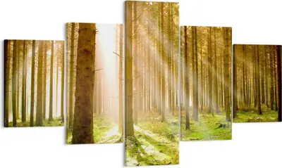 Produktbild von Bild auf Leinwand - Leinwandbild - Bäume Sonne Natur - 125x70cm - Wand Bild - Wanddeko - Wandbilder - Leinwanddruck - Bilder - Kunstdruck - Wanddekoration - Leinwand bilder - Wandkunst - EA125x70-0156