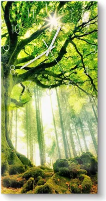 Produktbild von DEQORI Glasuhr 30x60 cm Zahlen 'Eindrucksvoller Baum' Wanduhr Glas Uhr Design leise