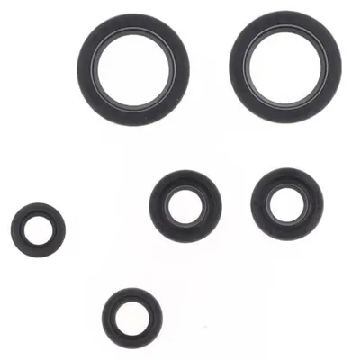 Obrázek produktu pro Sada těsnění motoru ATHENA P400270400060