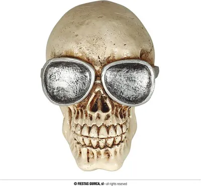 Produktbild von Totenkopf mit Brillen, Harz 11 CMS.