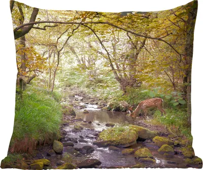 Produktbild von MuchoWow® Zierkissen Sofakissen Wohnzimmer Dekokissen 45x45 cm Hirsch - Baum - Wald - Schlafpolster - Polster für das Sofa
