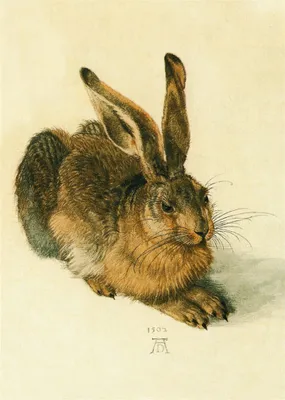 Produktbild von Kunstkarte Albrecht Dürer "Der Hase"
