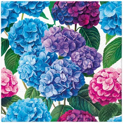 Produktbild von 20 Servietten Hydrangea Bloom - Kräftige Hortensien mit Blätter 33x33cm
