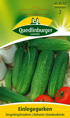 Produktbild von Einlegegurke Vorgebirgstrauben | Einlegegurkensamen von Quedlinburger