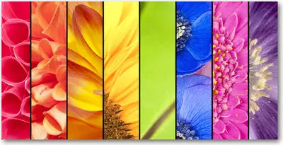 Produktbild von Tulup® Leinwandbild - 140x70 cm - Wandkunst - Drucke auf Leinwand - Leinwanddruck  - Blumen & Pflanzen - Mehrfarbig - Bunte Blumen