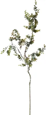 Produktbild von Eukalyptusstengel 88 cm Kunstpflanze Flora