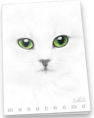 Image de Pigna Monocromo Carnet de notes A4 19 feuilles blanc