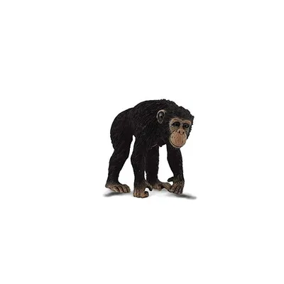 Immagine prodotto di Collecta - col88493 - Scimpanzé femmina - Taglia M