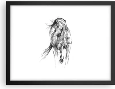 Produktbild von Gerahmtes Poster - Schwarzer Rahmen - Pferd Galopp Tier - 40x30 cm - Wand Bild - Wanddeko - Wandbilder - Kunstposter - Wandposter - Bilderrahmen - Bilder - Kunstdruck - P2BAA40x30-5080