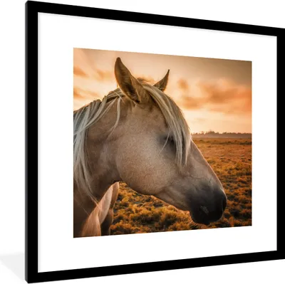 Produktbild von MuchoWow® Gerahmtes Poster Pferd - Tiere - Porträt 40x40 cm - Poster mit Schwarzem Bilderrahmen Wandposter Rahmen Foto Bilder - Poster - Plakat im Rahmen
