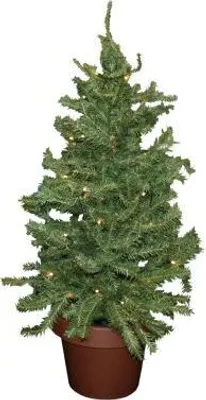 Produktbild von LED-Dekobaum / Weihnachtsbaum / Höhe: ca. 55cm / mit35 warmweissen LED's