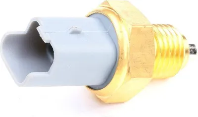 Image de Spinac, lumière vers l'arrière