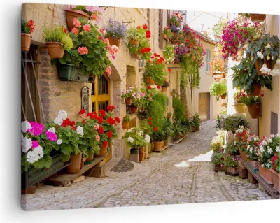 Produktbild von Bild auf Leinwand - Leinwandbild - Blume Straße Haus - 70x50cm - Wand Bild - Wanddeko - Wandbilder - Leinwanddruck - Bilder - Kunstdruck - Wanddekoration - Leinwand bilder - Wandkunst - AA70x50-3586