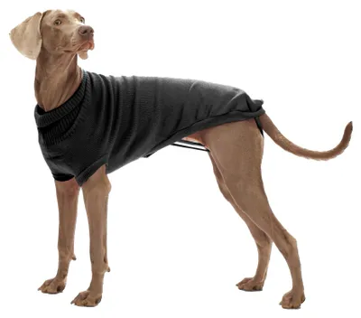 Produktbild von Croci C7074839, Hund, Pullover, Schwarz, Groß (26-44 kg), Einfarbig, Alle Jahreszeiten