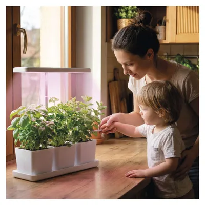 LED GROW pěstební lampa 7 W, časovač, stmívatelná, bílá