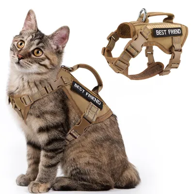 Image de Harnais tactique pour chat SALFSE, harnais pour chat en mesh aéré, anti-évasion, réfléchissant