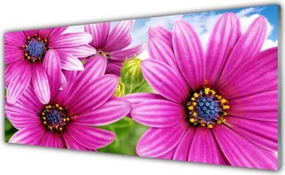Produktbild von Glasbilder 125x50 Wandbild Druck auf Glas Blumen Pflanzen