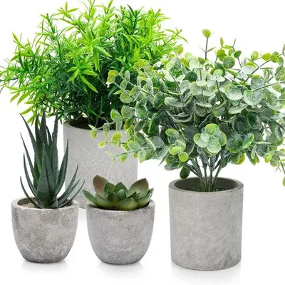 Image de Petites plantes artificielles : décoration de pot en eucalyptus