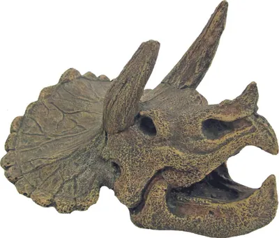 Produktbild von Amtra Triceratops Schädel – Aquarium-Dekoration