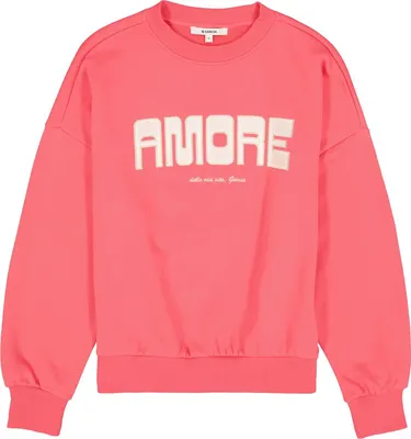 Produktbild von Garcia N260261_ladies sweat rose garden L