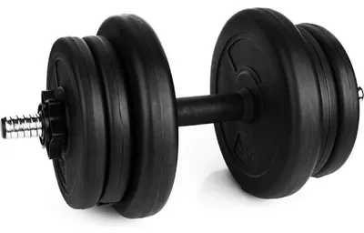 Image de Haltères Sedco - 1 x 10 kg - Ciment
