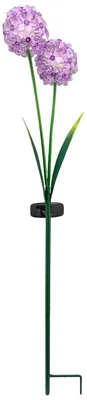 Produktbild von Solarstecker Allium 2 Blüten lila