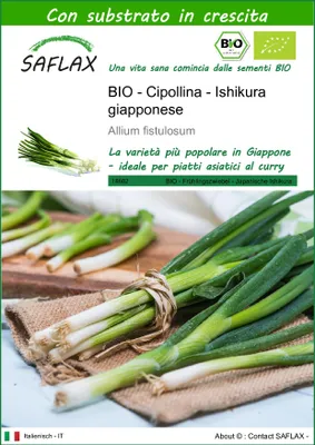 Immagine prodotto di SAFLAX  -- Cipollina - Ishikura giapponese - 150 semi - Con substrato - Allium