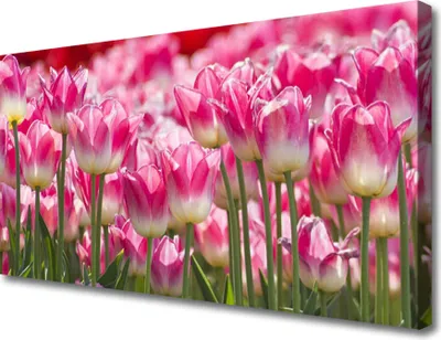 Produktbild von Tulup Leinwand-Bilder 100x50 Wandbild Canvas Kunstdruck Tulpen Pflanzen