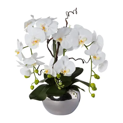 Produktbild von Kunstpflanze Phalaenopsiarrangem groß Höhe: 55 cm weiß