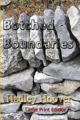 Produktbild von Botched Boundaries (LP)