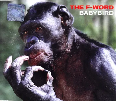 Produktbild von Babybird-The F-Word