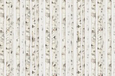 Produktbild von Sanders & Sanders Fototapete Wald Beige 424 x 280 cm