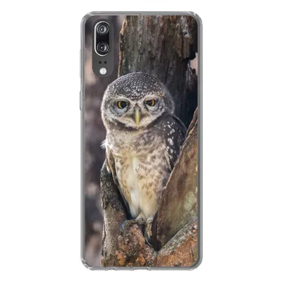 Produktbild von MuchoWow® Handyhülle Schutzhülle Hülle für Huawei P20 Eule - Baum - Wald Silikon Softcase Handy Hülle - Hardcover