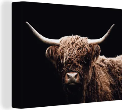Produktbild von MuchoWow® - Leinwandbilder - Schottischer Highlander - Schwarz - Horn, Wandbild, Wanddeko Bilder Wohnzimmer, 40x30 cm