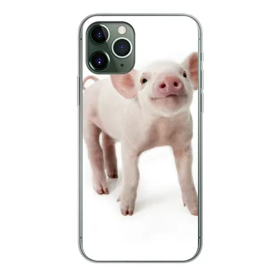 Produktbild von MuchoWow® Handyhülle Schutzhülle Hülle für iPhone 11 Pro Schwein - Tiere - Weiß Silikon Softcase Handy Hülle - Handy