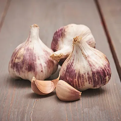 Produktbild von Winterknoblauch Purple Garlic Germidour essbar 0,25 kg