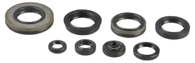 Image de Athena Kit de joints d'huile moteur P400510400035
