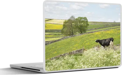 Produktbild von MuchoWow® Laptop Aufkleber Sticker Cover Kuh - Blumen - Tiere 36.5x27.5 cm - Laptop-Sticker