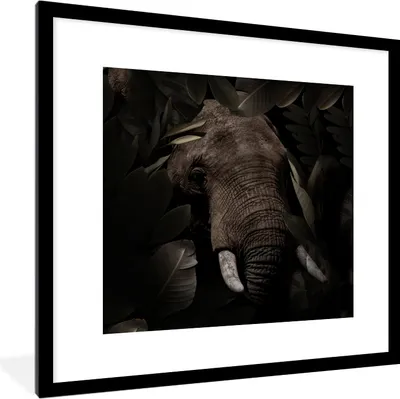 Produktbild von MuchoWow® MuchoWow® Gerahmtes Poster Elefant - Tiere - Blätter - Botanisch 40x40 cm - Poster mit zchwarzem Bilderrahmen - Poster - Plakat im Rahmen