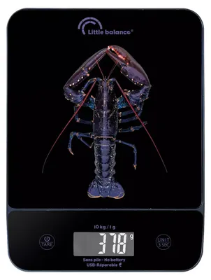Obrázok produktu pre 10 kg/1 g. USB. Genius Homard. – Malá váha