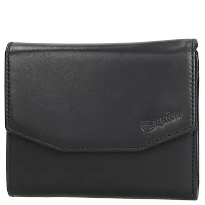 Produktbild von Esquire Esquire New Silk - Geldbörse 12cc 12 cm