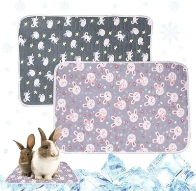 Produktbild von 2 Stück Kühlmatte für Kaninchen, 40X30cm Kühlplatte Kaninchen, Sommer Kühlmatte Hasen, Weich und Bequem Kühlinsel Kaninchen, Kleine Pet Cooling Mat für Hasen, Hamster, Meerschweinchen